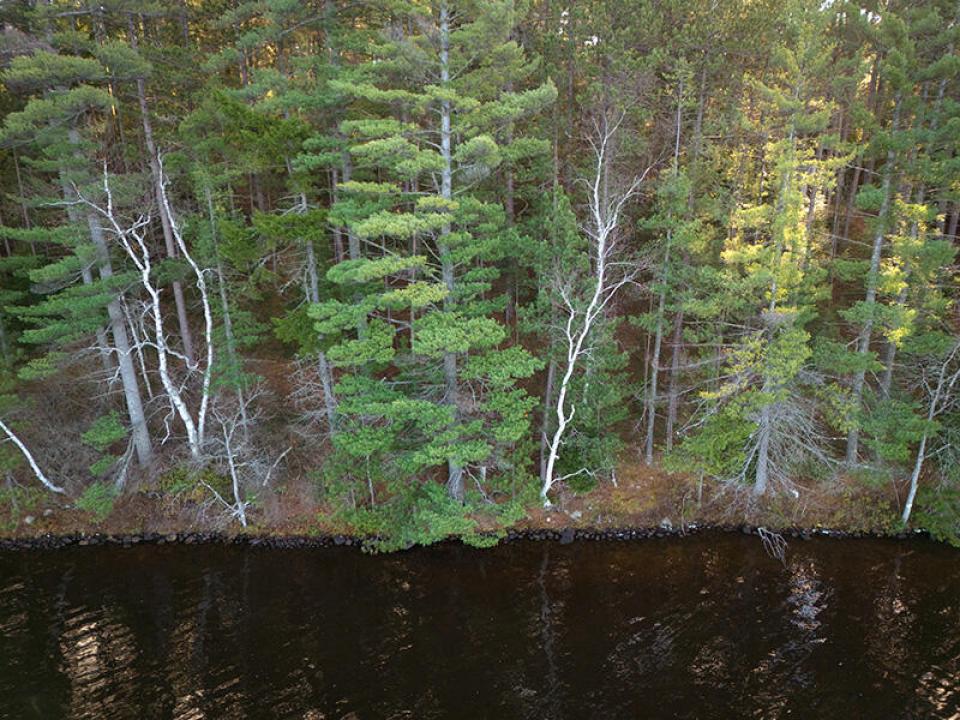 LotOnRainbowLake_Lot_From_Lake_Low