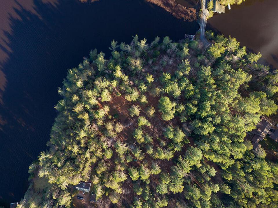 LotOnRainbowLake_Lot-9