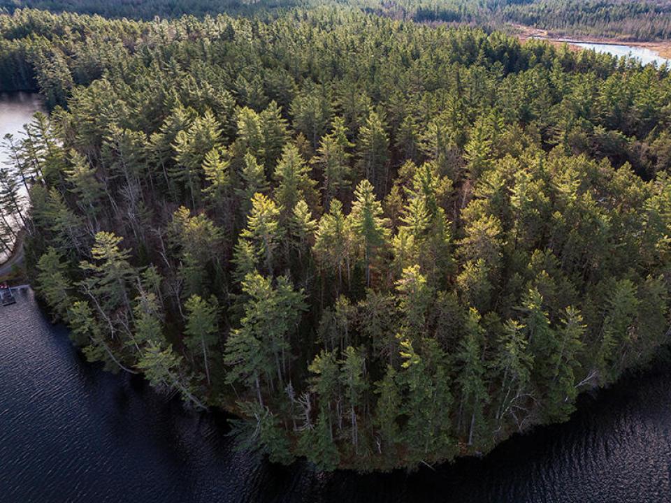 LotOnRainbowLake_Lot-12