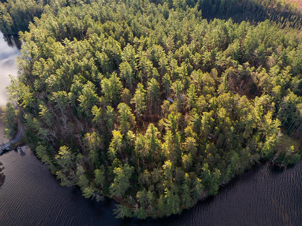 LotOnRainbowLake_LotFromLake