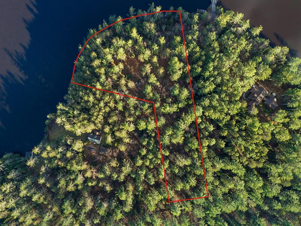 LotOnRainbowLake_LotwithLines