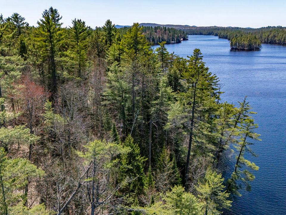 LotOnRainbowLake_A_Lot_Lake_Island