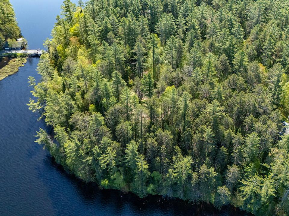 LotOnRainbowLake_A_Lot_Lakeside