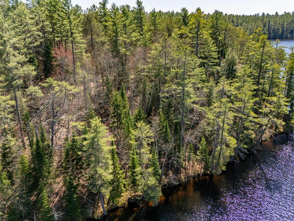 LotOnRainbowLake_A_Shoreline