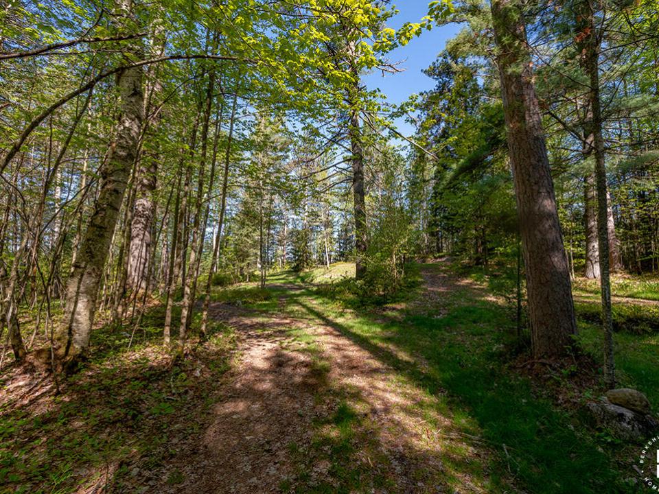 LotOnRainbowLake_Driveway