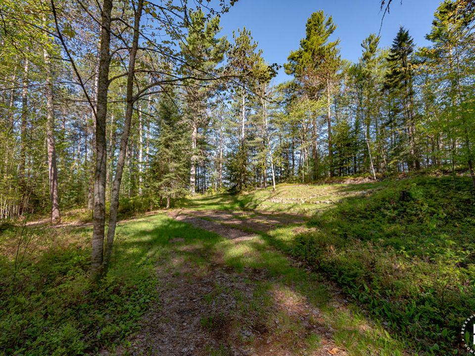 LotOnRainbowLake_Lot_From_Driveway