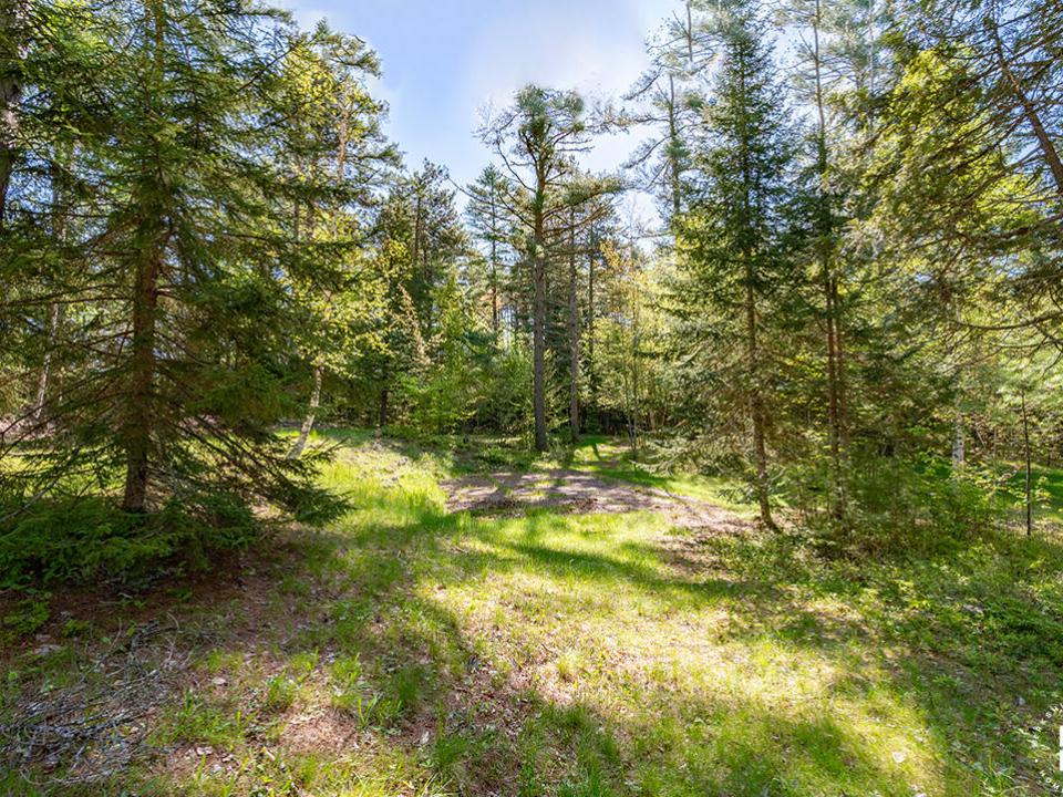 LotOnRainbowLake_Lot