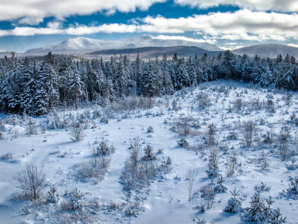 DJI_20250205123757_0180_D