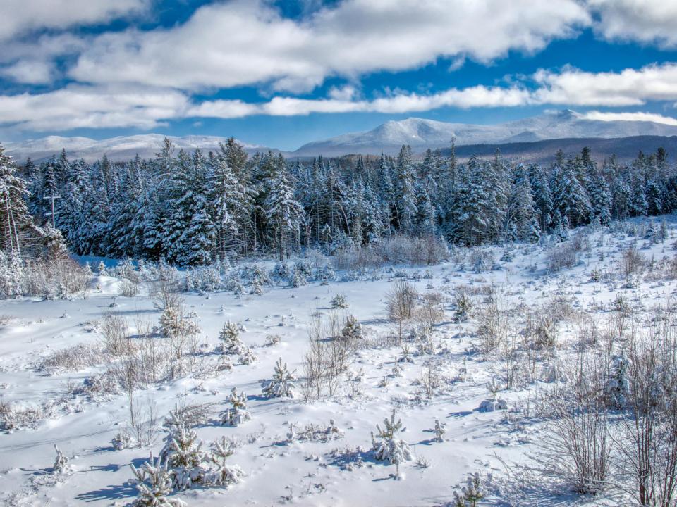 DJI_20250205123816_0185_D