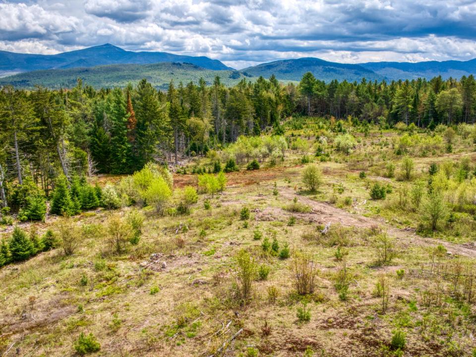 DJI_20250516131707_0111_D