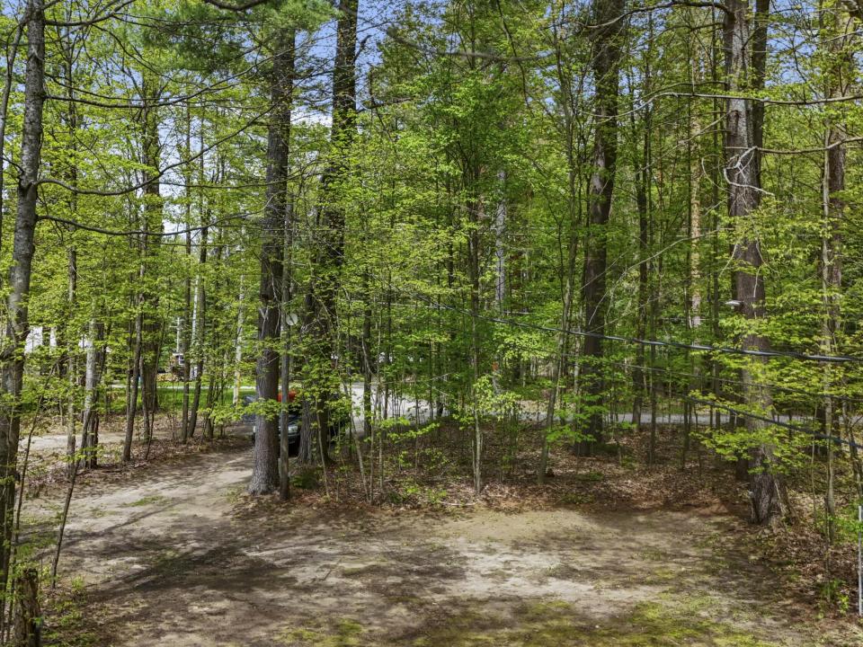 Trees offer privacy