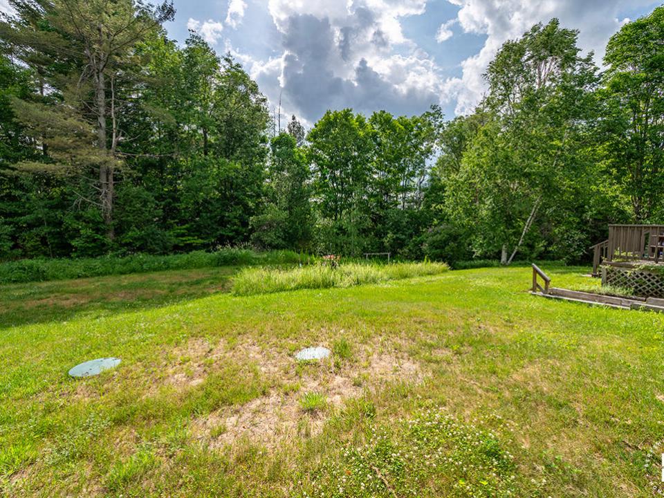 HomeOnJersey_Summer_BackYard