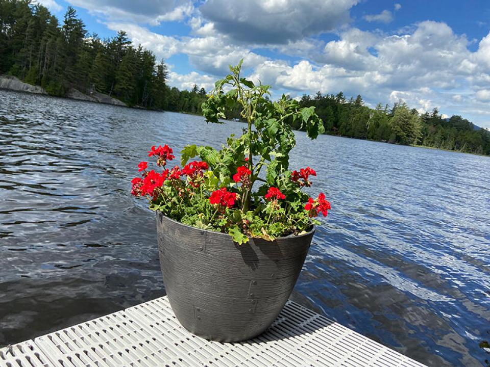 CampStillwaters_O_Flowers_Dock