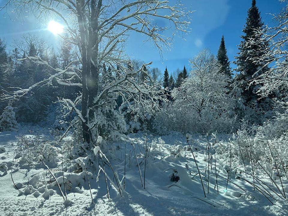 CampStillwaters_O_Road_Winter