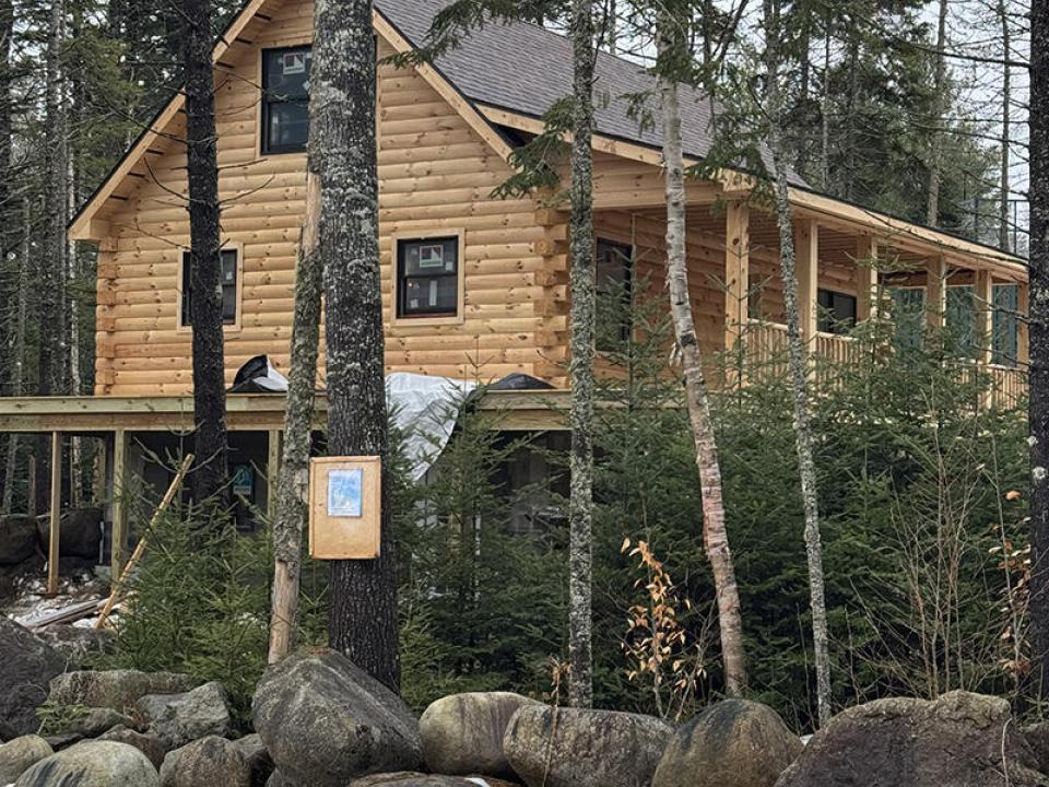 Exterior_Trees