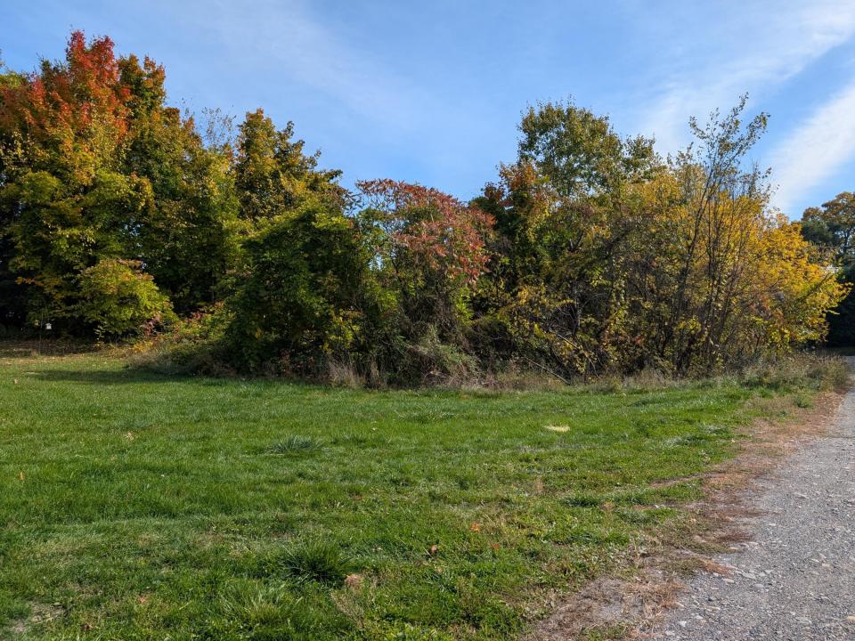 PXL_20251019_172503983