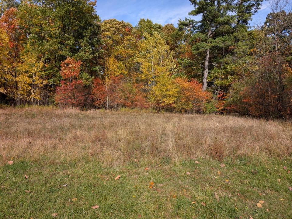 PXL_20251019_172630786