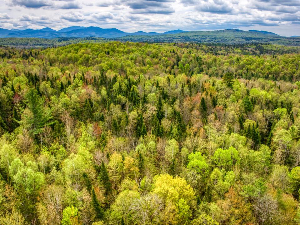 DJI_20250516122801_0001_D DJI_20250516122801_0001_D
