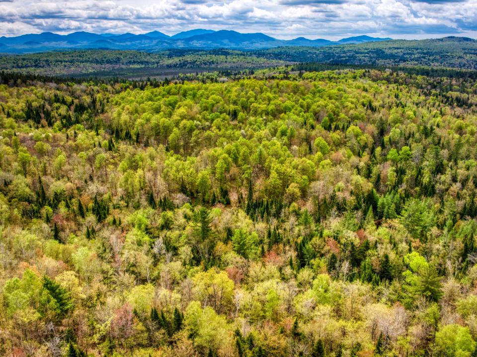 DJI_20250516123517_0016_D