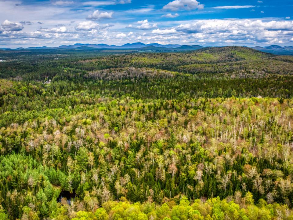 DJI_20250516123642_0021_D