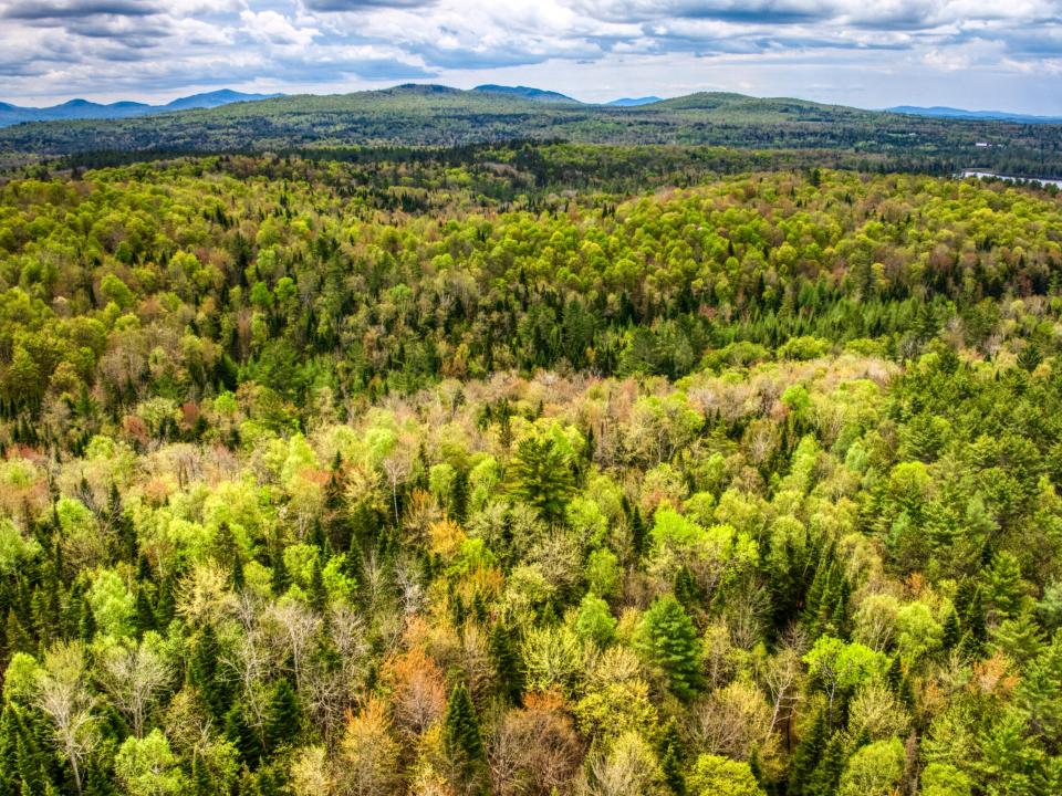 DJI_20250516123733_0026_D