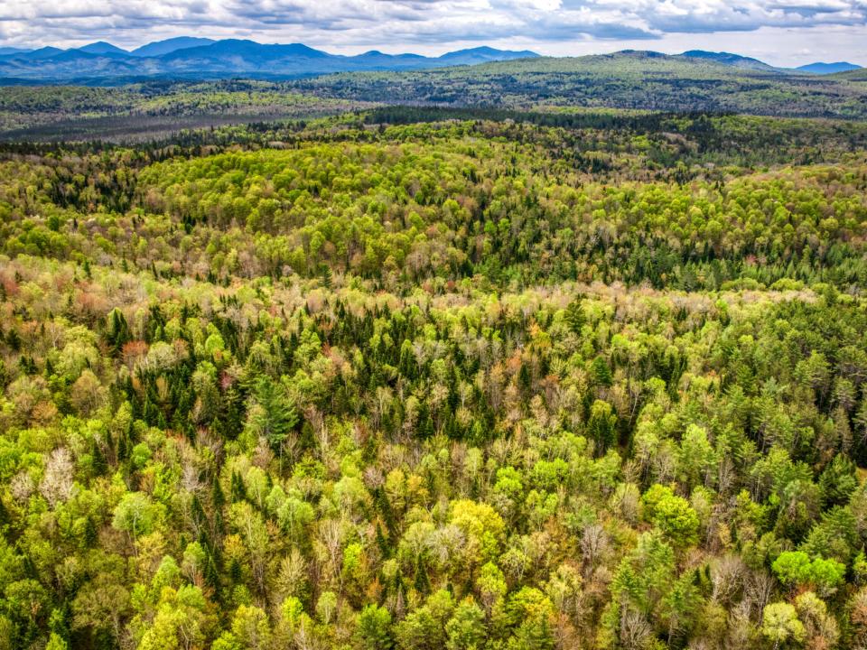 DJI_20250516123854_0041_D