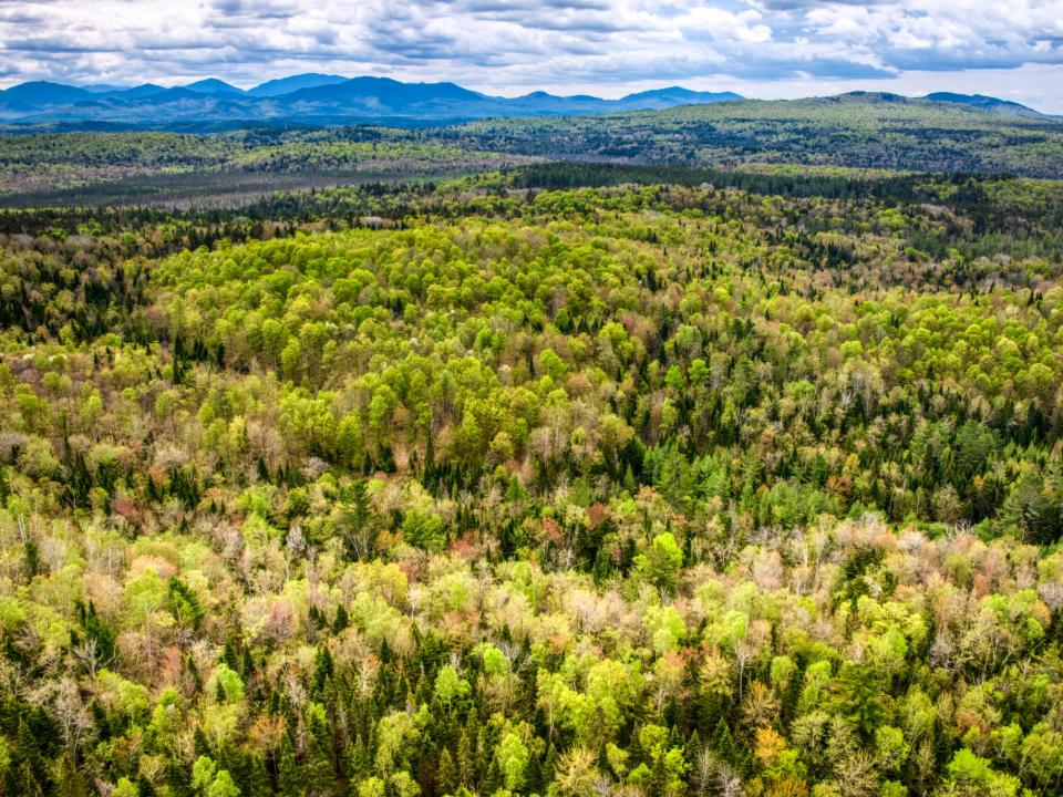 DJI_20250516123912_0046_D