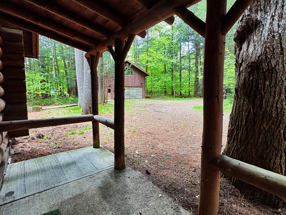 IMG_9978 copy IMG_9978 copy