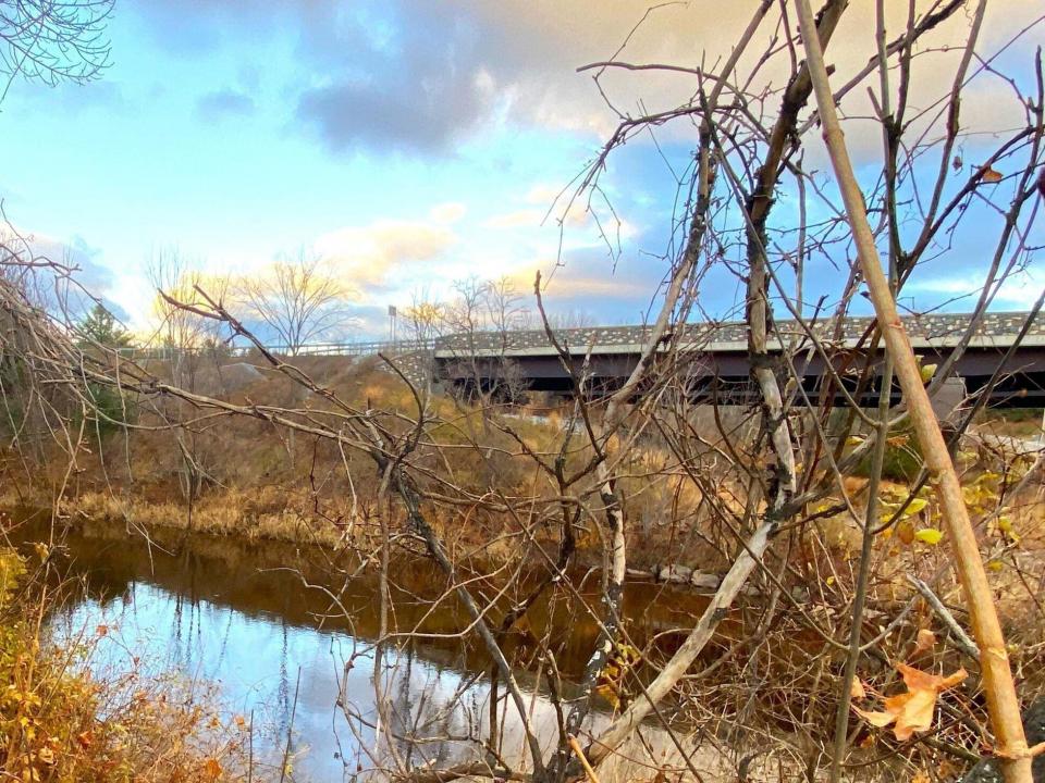 20231116222809569166000000-o - Copy