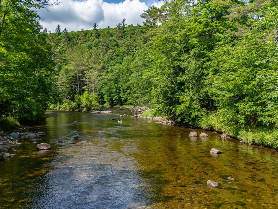 TheBlacksmithHouse_A_River_To_Island