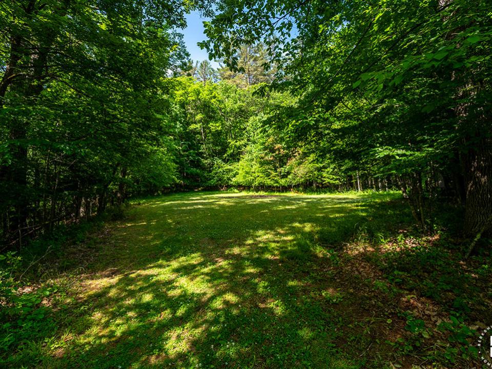 TheBlacksmithHouse_Clearing