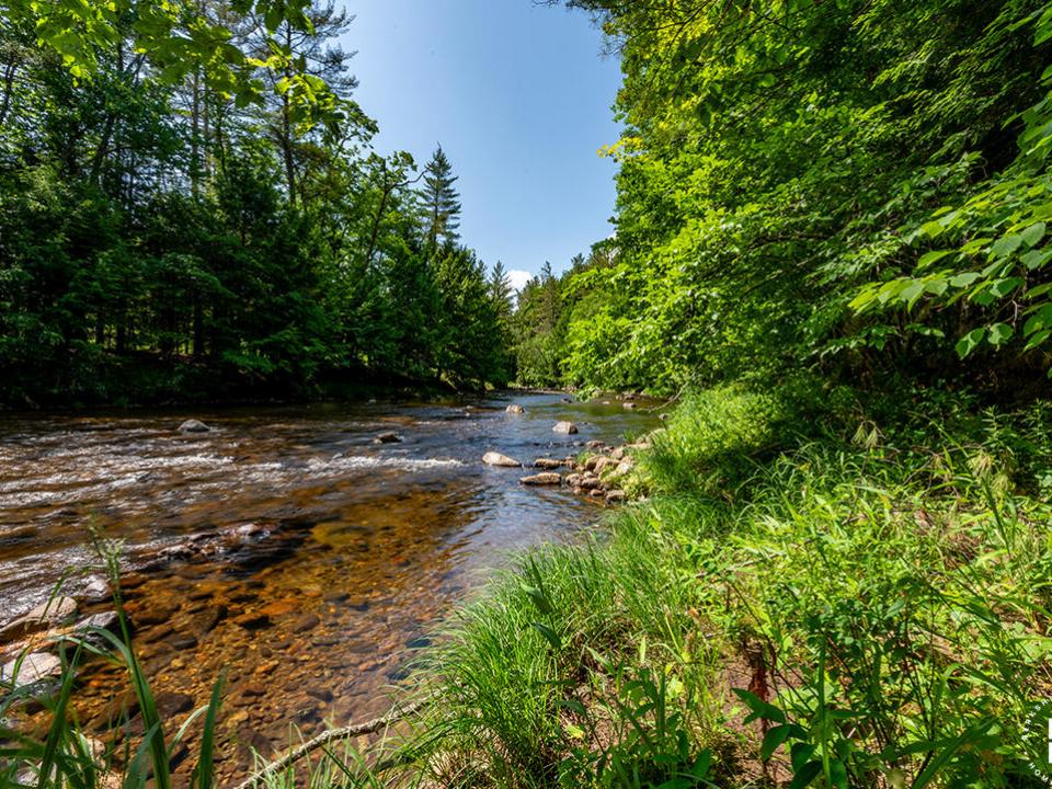 TheBlacksmithHouse_River_R