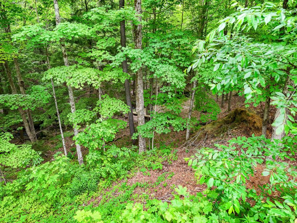 DJI_20250616105414_0056_D