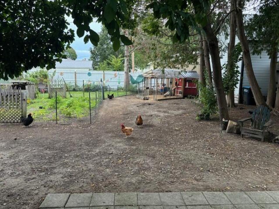 Fenced in Backyard