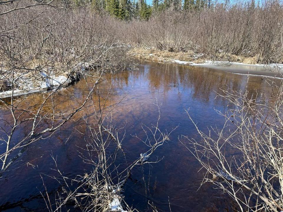 Lyon Brook