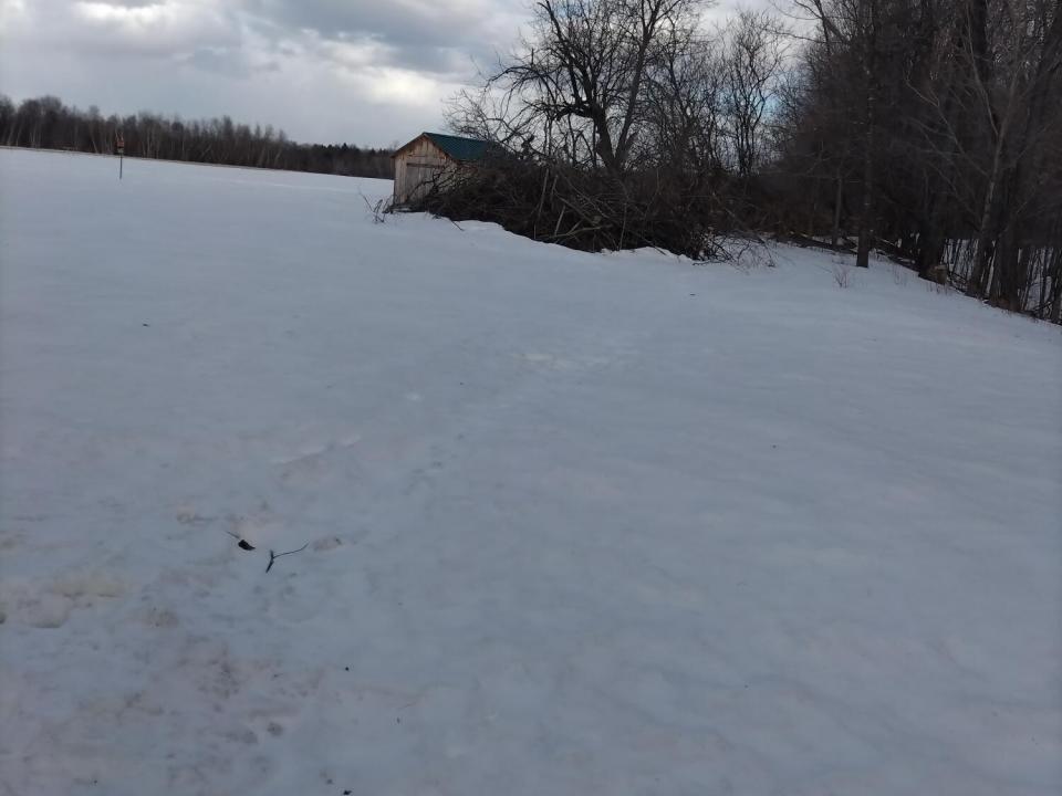Cody shed
