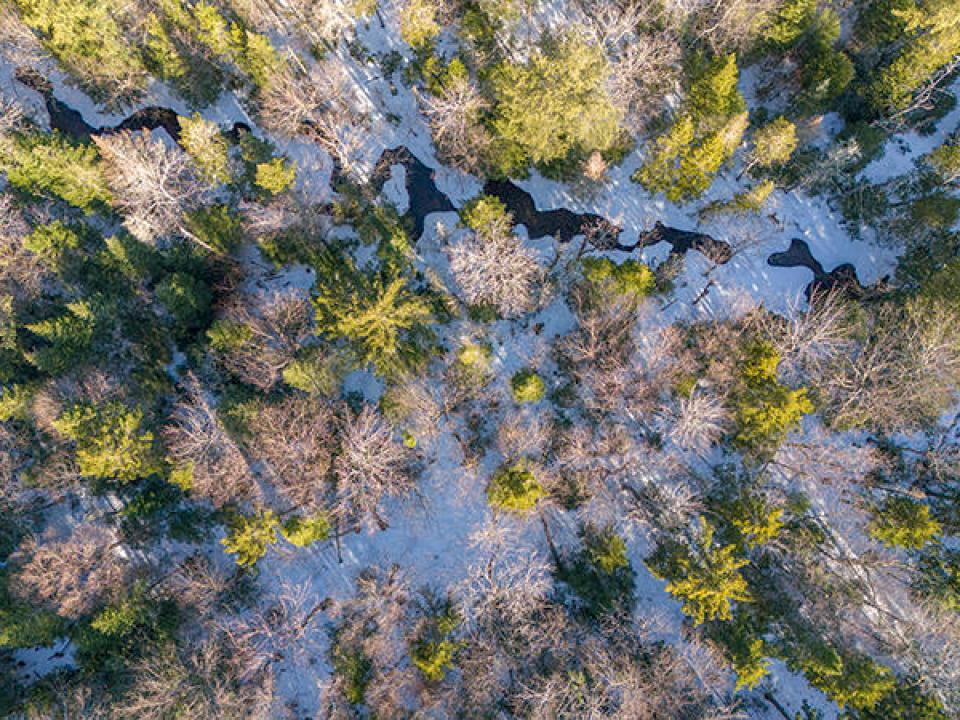 AdirondackHiddenGemInBdale_A_Brook
