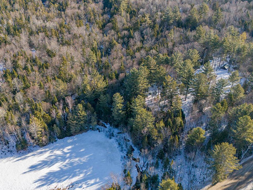 AdirondackHiddenGemInBdale_A_Property_L