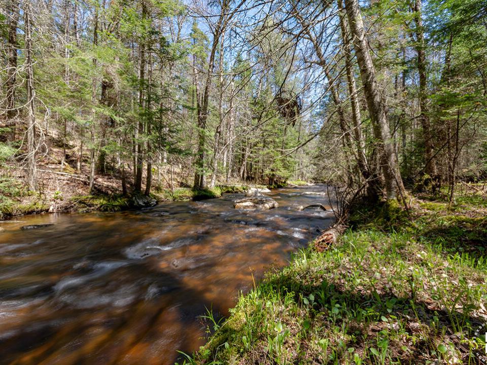 AdirondackHiddenGem_Brook_R