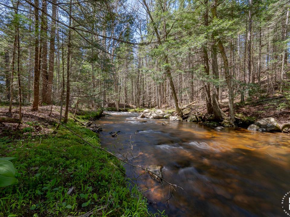 AdirondackHiddenGem_Brook_L AdirondackHiddenGem_Brook_L