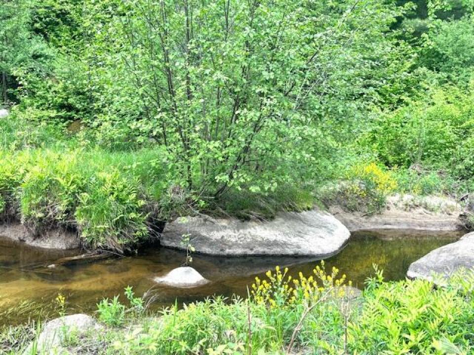 Stream