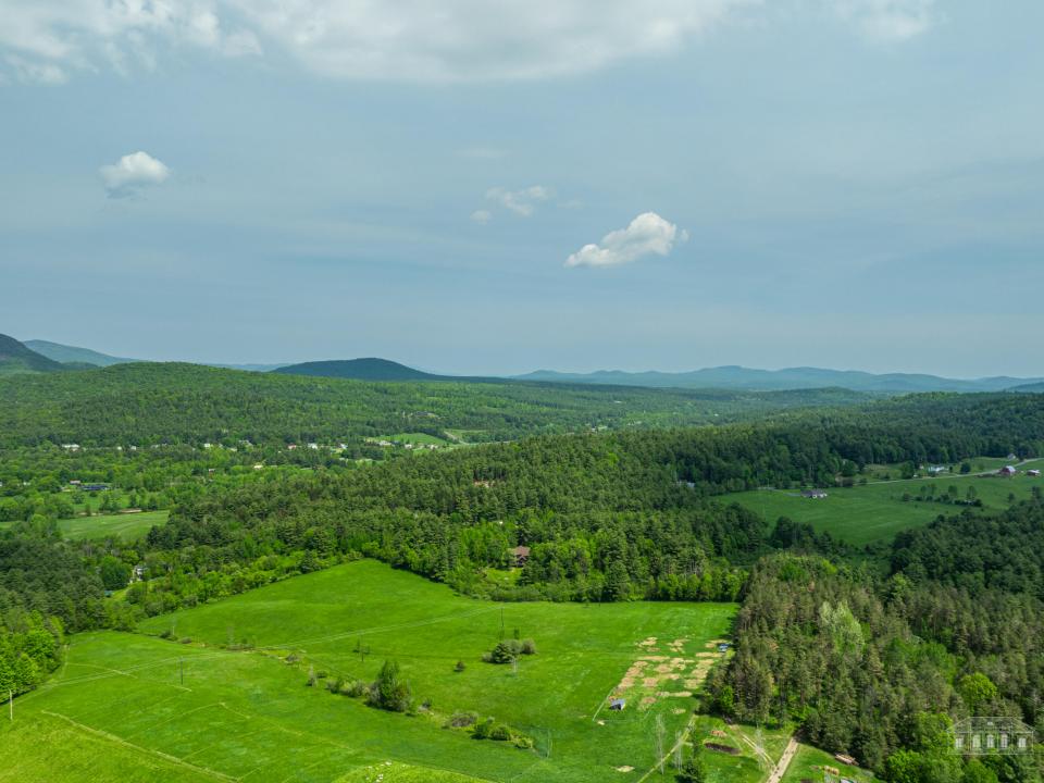 Mountain and meadow views
