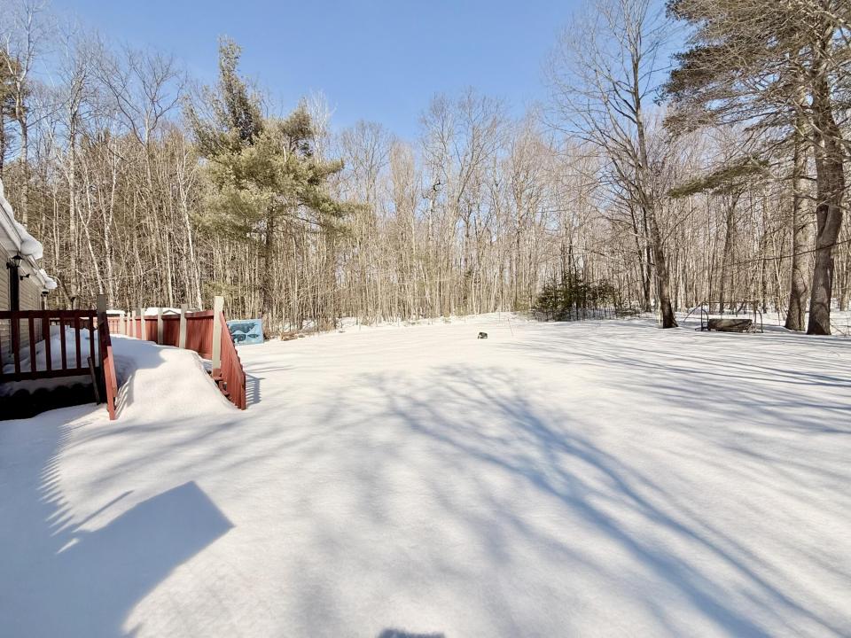 Back yard