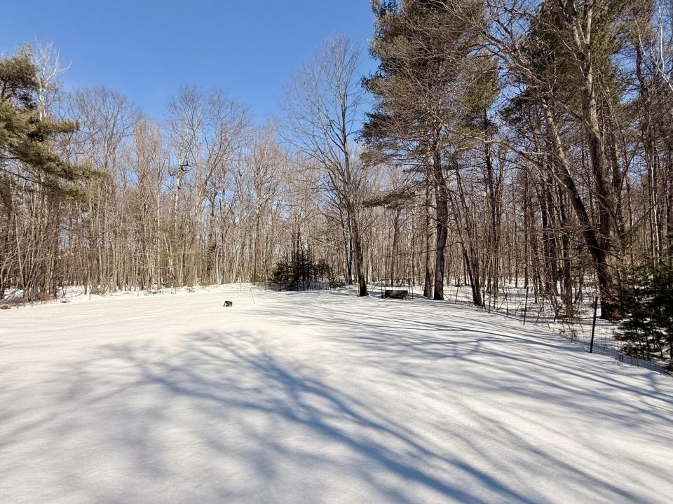 Back yard