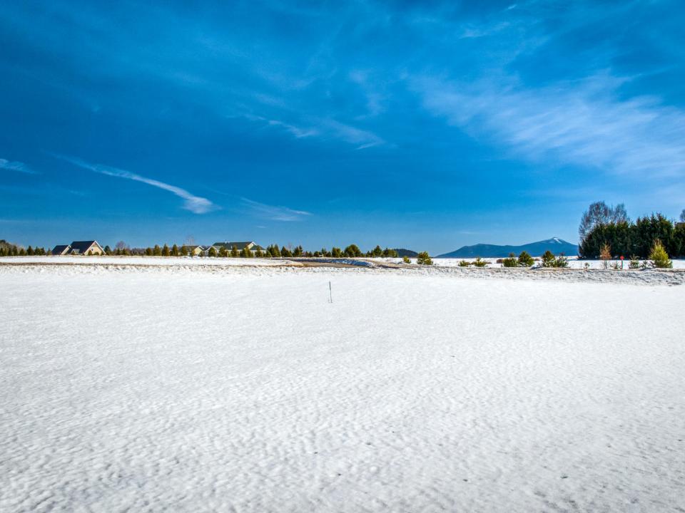 DJI_20250314122215_0075_D