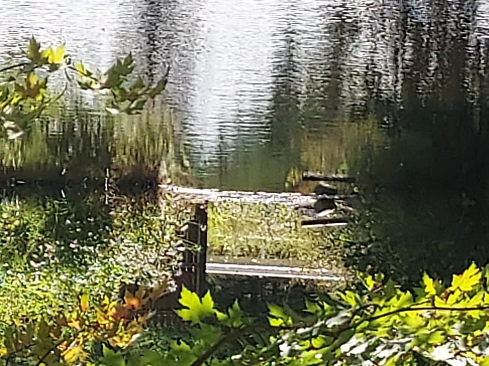 Pond1