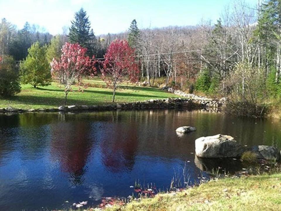 Pond2