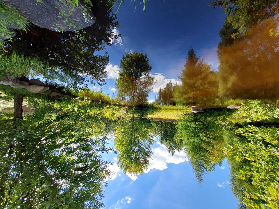 Pond4