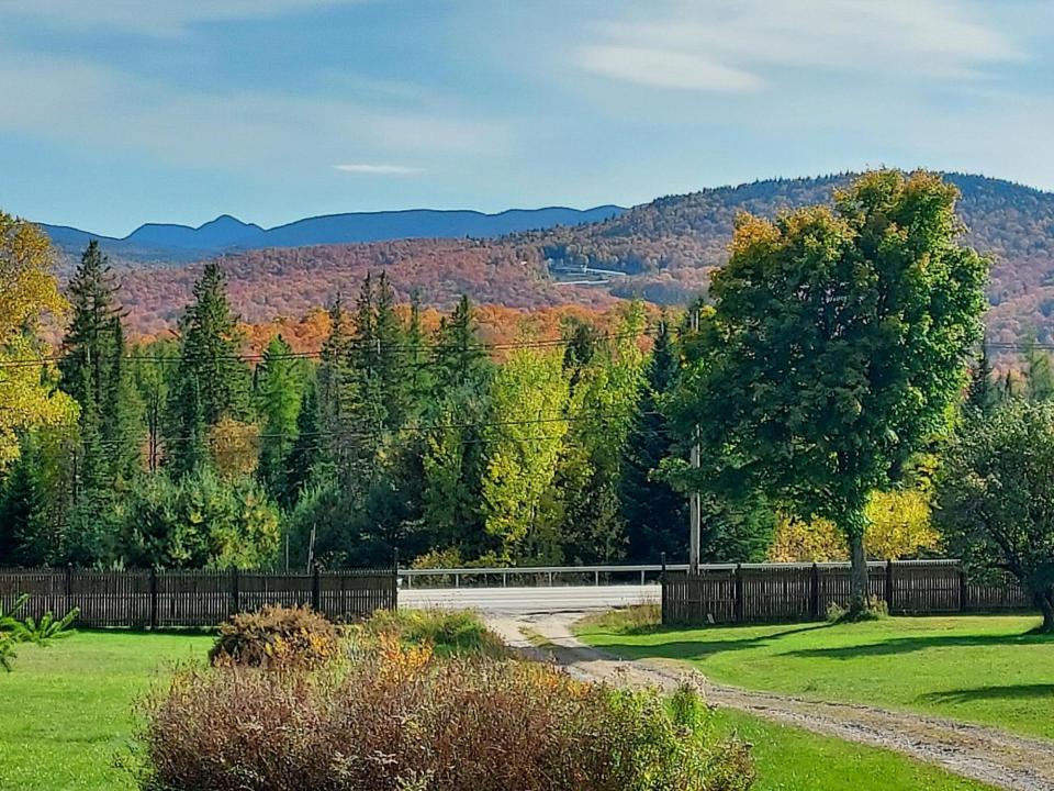 Fall Pic2