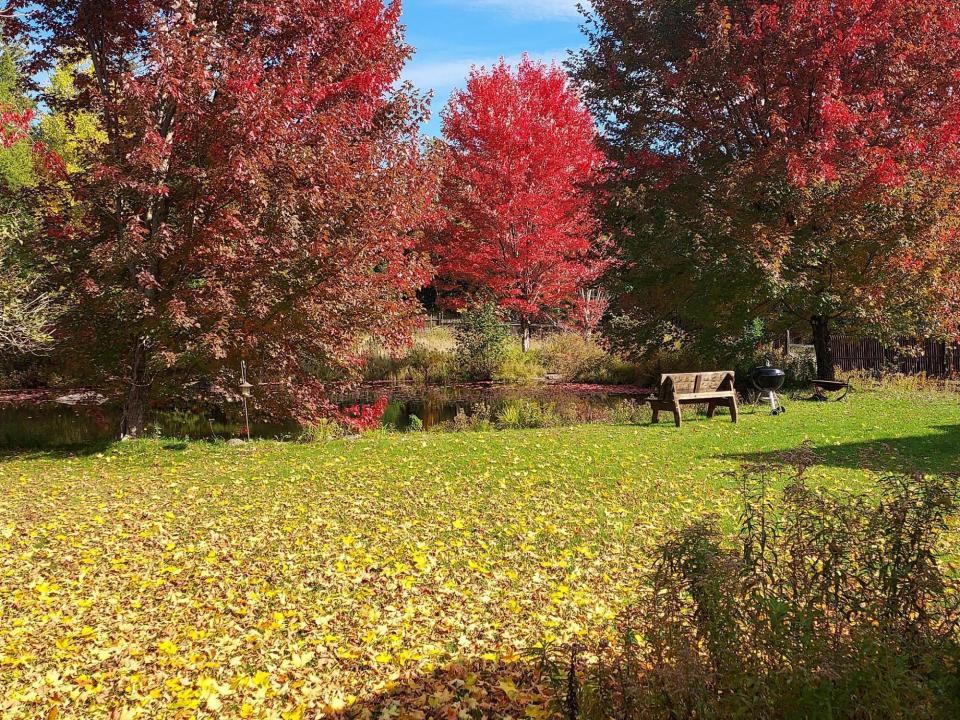 Fall Pic3